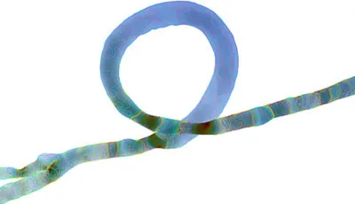 Ansys宣布2020年 “仿真的艺术” 图片大赛获奖者名单的图2